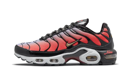 Nike Air Max Plus Sisterhood - DO6115-500